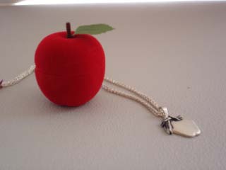 Great Gift For Teachers!